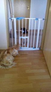 struppie tag 6-3.jpg