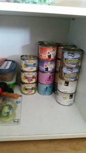 uploadfromtaptalk1457706248657.jpg uploadfromtaptalk1457706248657.jpg