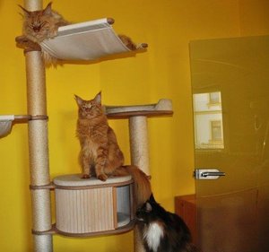 Ankunft T-Jay und Van 688.jpg