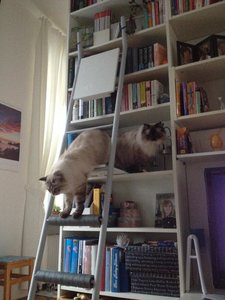 2016-03-13 17.26.27.jpg