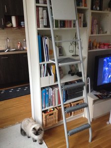 2016-03-13 17.25.07.jpg