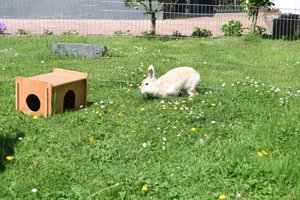 2015_05_14 DSC_0012.JPG