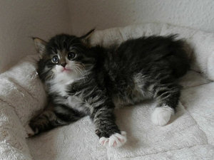 Hamlet 20-03-16-16.jpg