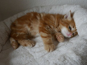 Hemingway 20-03-16-13.jpg