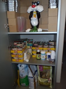 P3241140 - Kopie.jpg