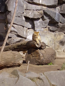 038 Di Tierpark 2.JPG