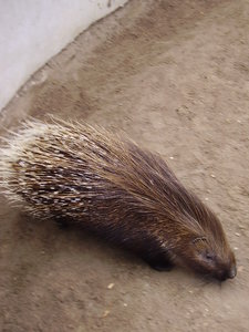 044 Di Tierpark 8.JPG