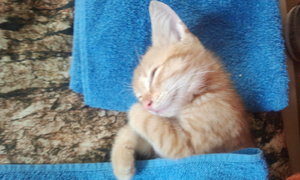 2013-10-13 10.33.02.jpg