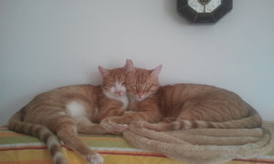 2014-06-11 17.31.23.jpg