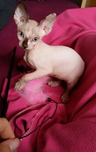 2016-04-15 18.35.19.jpg