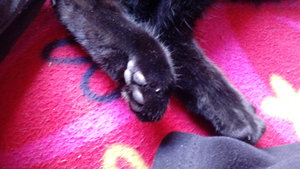 IMG_20160418_183057.jpg IMG_20160418_183057.jpg