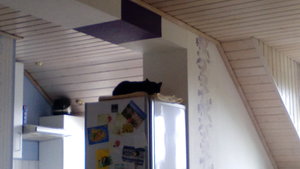 IMG_20160426_171124.jpg IMG_20160426_171124.jpg