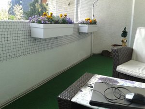 20160507_165955.jpg
