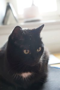 Carla3.jpg Carla3.jpg