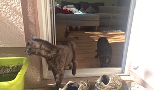 FullSizeRender 2.jpg