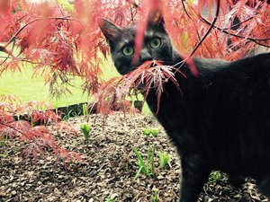 FullSizeRender 6.jpg