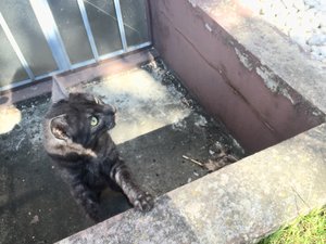 FullSizeRender 4.jpg