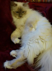 2016-04-13 17.24.32.jpg