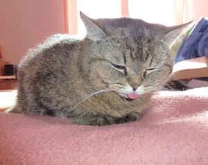 P1080215-1.jpg P1080215-1.jpg