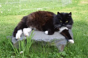 2015_05_10 DSC_0031.JPG