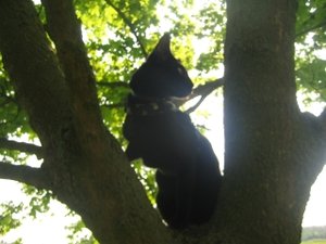 Urlaub April Mai 09 040.jpg