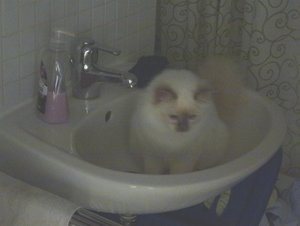 2016-05-17 12.55.08.jpg