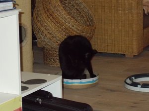 DobyGezoomt (800x600).jpg