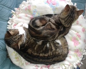 20160527_120046 (2).jpg