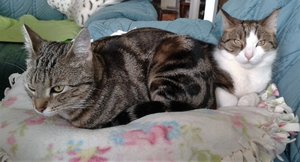 20160527_120109 (2).jpg