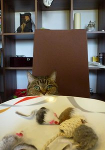 2016-05-31 15.32.57.jpg