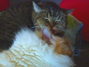 2016-02-15 19.26.32.jpg