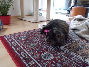 DSCN2813.jpg DSCN2813.jpg