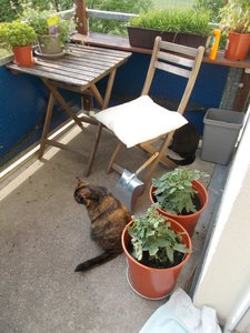 DSCN2837.jpg DSCN2837.jpg