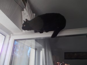 DSCN2904.jpg DSCN2904.jpg