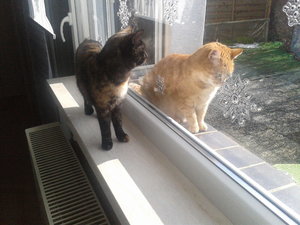 2016-02-17 12.09.58.jpg