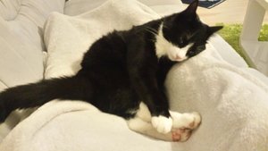 IMG-20151010-WA0035 (1).jpg