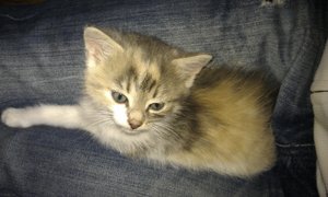 2.September 2011 9.jpg