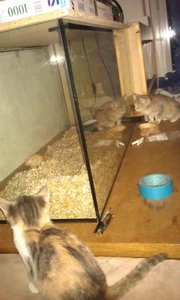 16.Oktober 2011 6.jpg