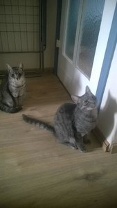 WP_20160815_003 (1).jpg