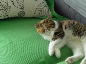 Miffi und Co 22.08.16 002.jpg