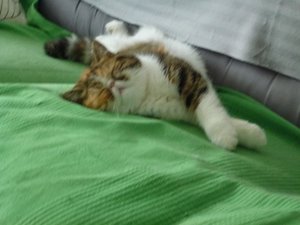 Miffi und Co 22.08.16 007.jpg