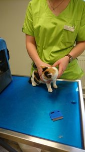 Handy 5.9.16 988.jpg