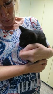 Handy 5.9.16 987.jpg