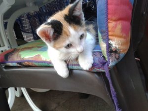 Handy 5.9.16 943.jpg