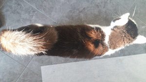 14315959_10209562782803975_1640408846_o (1).jpg