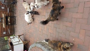 20160920_112352.jpg 20160920_112352.jpg