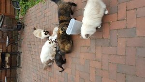 20160920_112316.jpg 20160920_112316.jpg