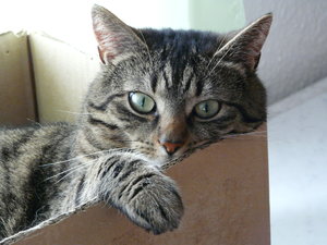 2016-06-12 12.58.00.jpg