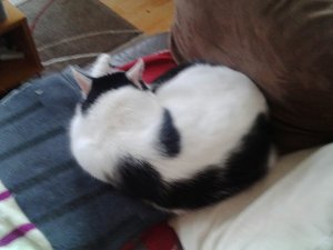 Handy 01.09.2015-02 057.jpg