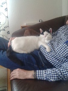 Handy 01.09.2015-02 087.jpg